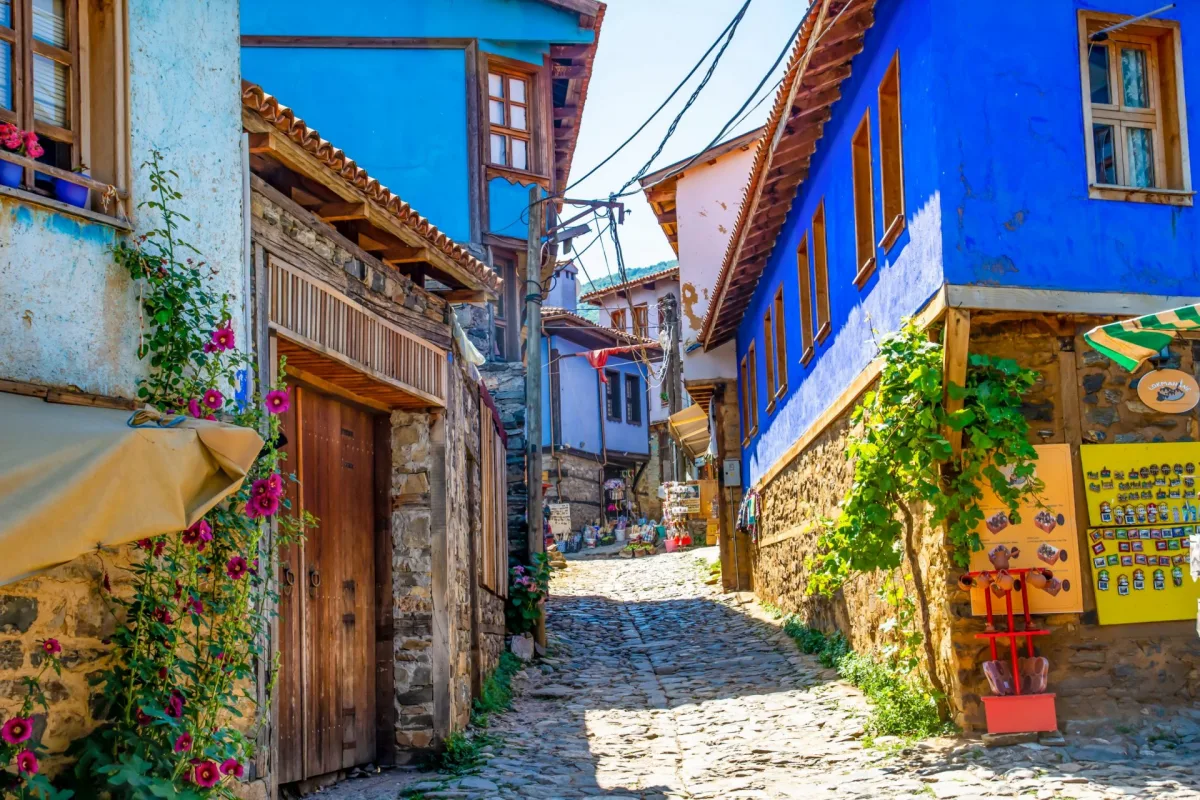 Cumalikizik Ottoman Village Tour - 1